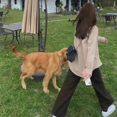 那不勒斯的四天
